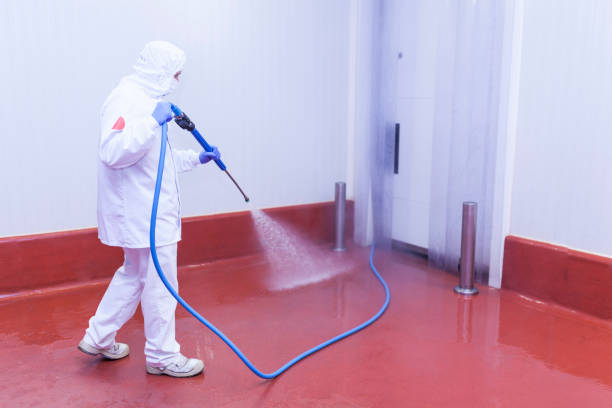 Best Gas Station Cleaning  in Warroad, MN