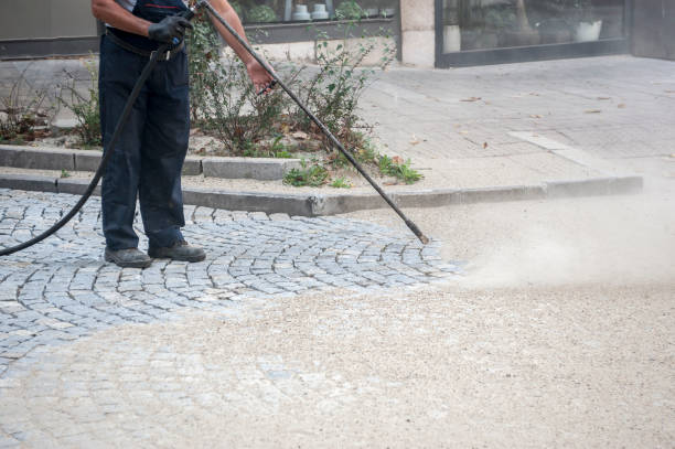 Best Patio and Deck Pressure Washing  in Warroad, MN