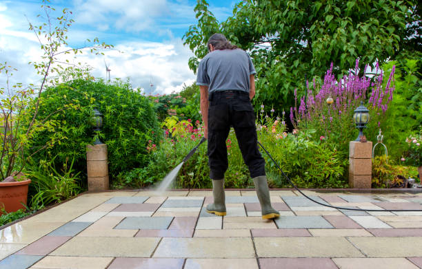 Best Pre-Holiday Cleaning  in Warroad, MN