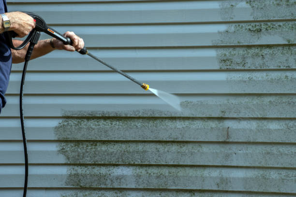 Best Dumpster Area Cleaning  in Warroad, MN