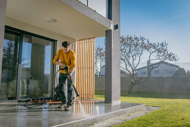 Best Gutter Cleaning  in Warroad, MN